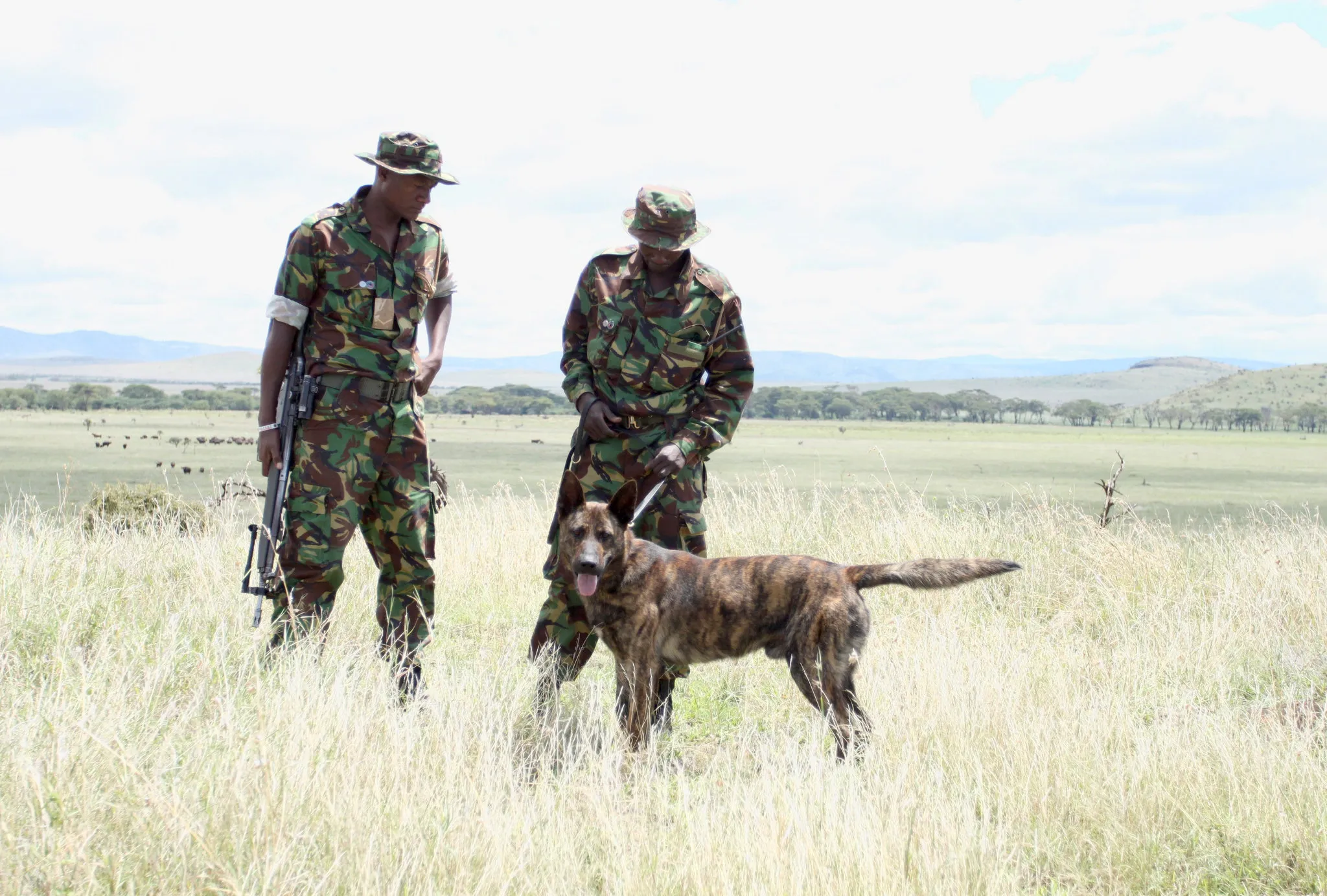 巡护员在非洲草原上 - 四虎视频 | 人与自然